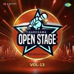 Open Stage Recreations - Vol 13 - Dr Rakesh Mittal Song Download